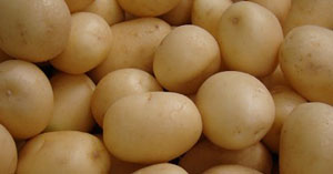 White Potatoes Storage Crop Image