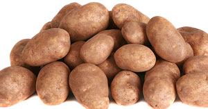 Russet Potatoes Storage Crop Image